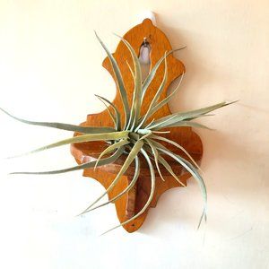 Vintage Boho wooden 13 inch wall shelf